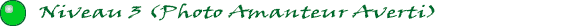 Niveau_3